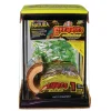 ZOOMED - Kit Habitat Creature 22x21.3x28 cm pour araignées, insectes
