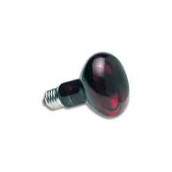 ZOO MED - 50 w zoo med lampe spot infrarouge - lampe chauffante infra-rouge nocturne